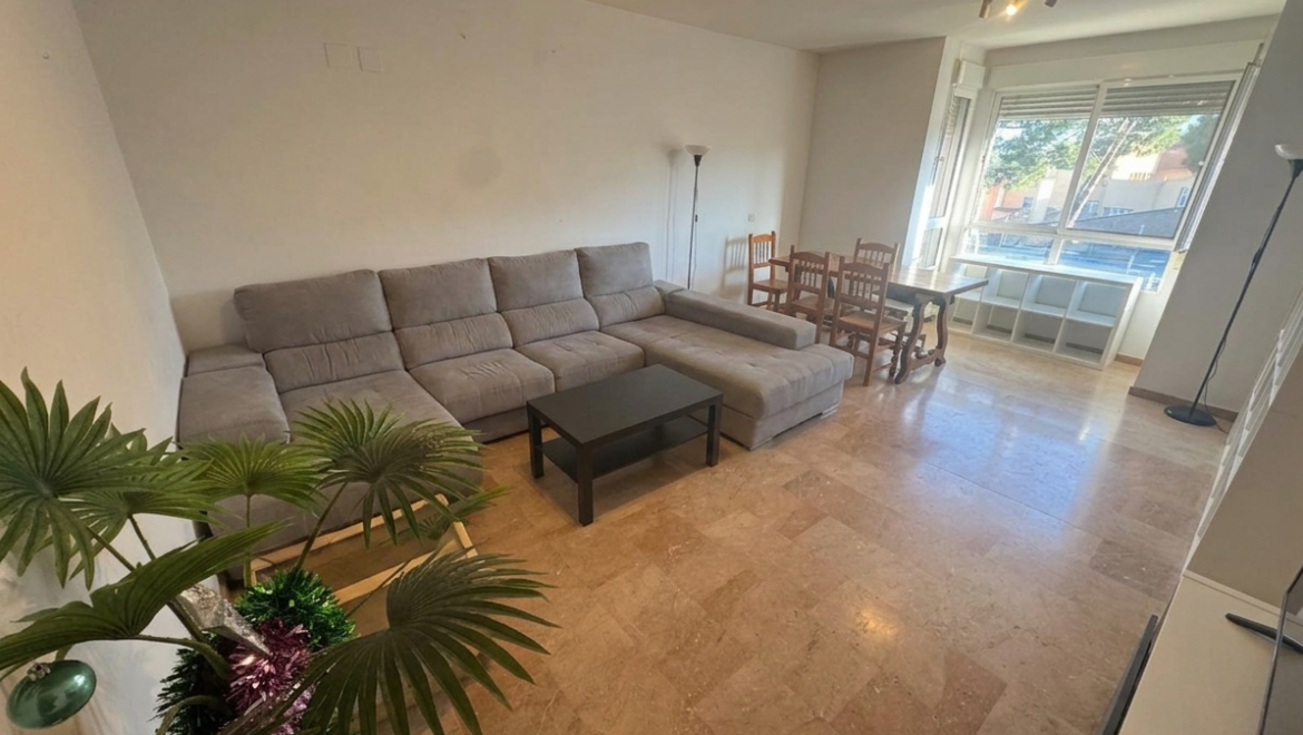 video image