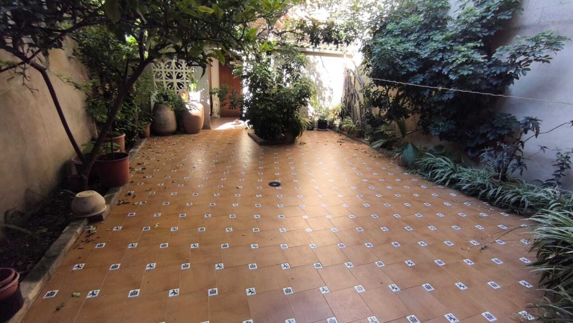video image